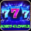 andy flower Turbo v5.4.4