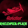 bingopkr Gold v2.8.4