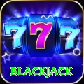 blackjack Pro1 v3.0.5
