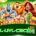 bpl live cricket Pro Edition v2.0.4