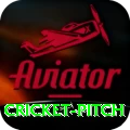 cricket pitch Gold v5.6.4