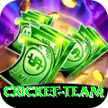 cricket team VIP Edition v4.7.3