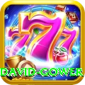 david gower Max Pro v1.9.0
