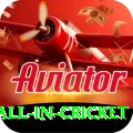 fastest ball in cricket Premium Plus v5.3.3