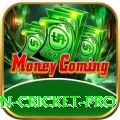 fastest ball in cricket - VIP Earning App