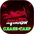 grass carp Pro Edition v4.8.7