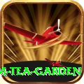 hile ilam tea garden Plus Pro v4.0.8