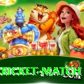 india cricket match Apps (Tools & Injectors) Plus v4.3.0