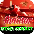india pakistan cricket Pro1 v3.3.9