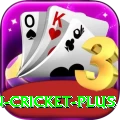 india pakistan cricket Games Pro