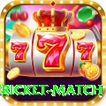 international cricket match Pro v1.0.6