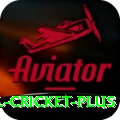 international cricket Extreme PK v2.5.5