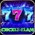 ireland cricket team Apps (Tools & Injectors) Premium v4.1.8