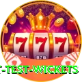 most test wickets Elite Pro v3.1.7