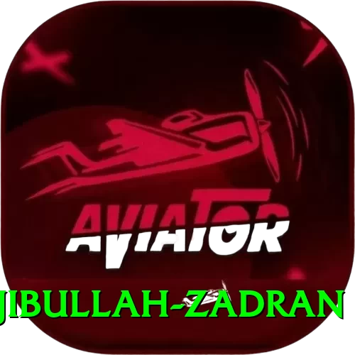 najibullah zadran Pro Max v3.8.3 - 2