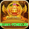 naseem shah yorkers Apps (Tools & Injectors) VIP v3.6.2