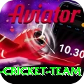 pakistan women cricket team Master Pro v2.5.5