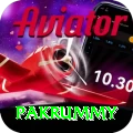 pakrummy Premium v3.2.1