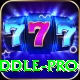 peter siddle Casino Pro v2.8.9
