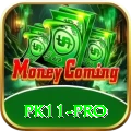 pk11 Cash Plus