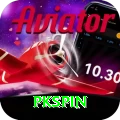 pkspin Premium Edition v4.0.7
