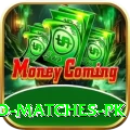 rain affected matches pk Pro Edition v1.0.3