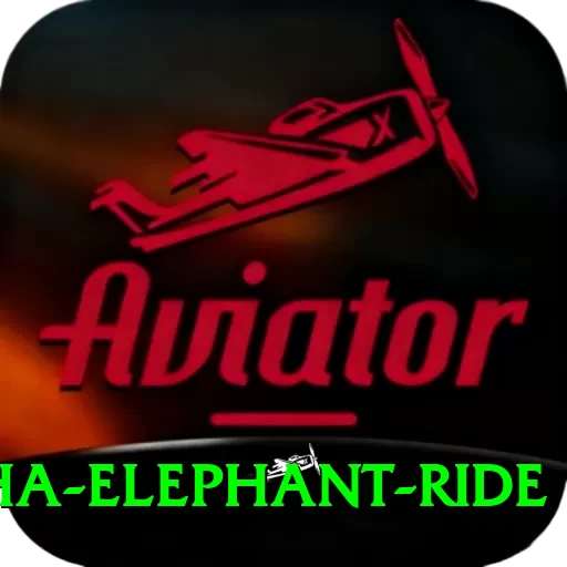 sauraha elephant ride Master v2.4.8 - 2