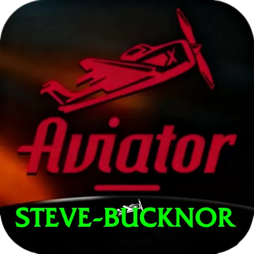steve bucknor Premium Plus v1.0.1 - 2