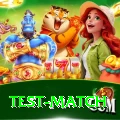test match Plus Edition v3.2.9