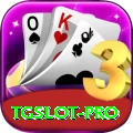 tgslot Premium v2.9.1