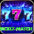 to day cricket match Pro Edition v1.1.5