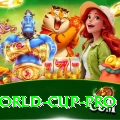 u19 world cup - VIP Deluxe