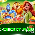 uc cricket Casino Champion v4.9.7