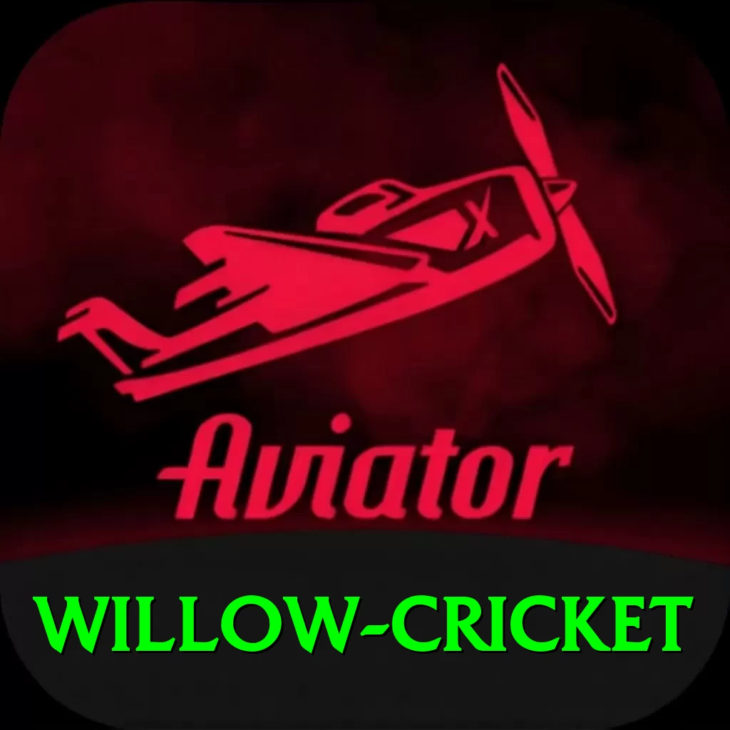 willow cricket Pro1 v3.0.0 - 2