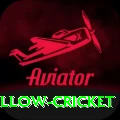 willow cricket Pro1 v3.0.0
